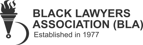 Meso Legal Client Logo 5 B