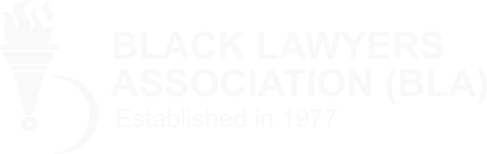 Meso Legal Client Logo 5